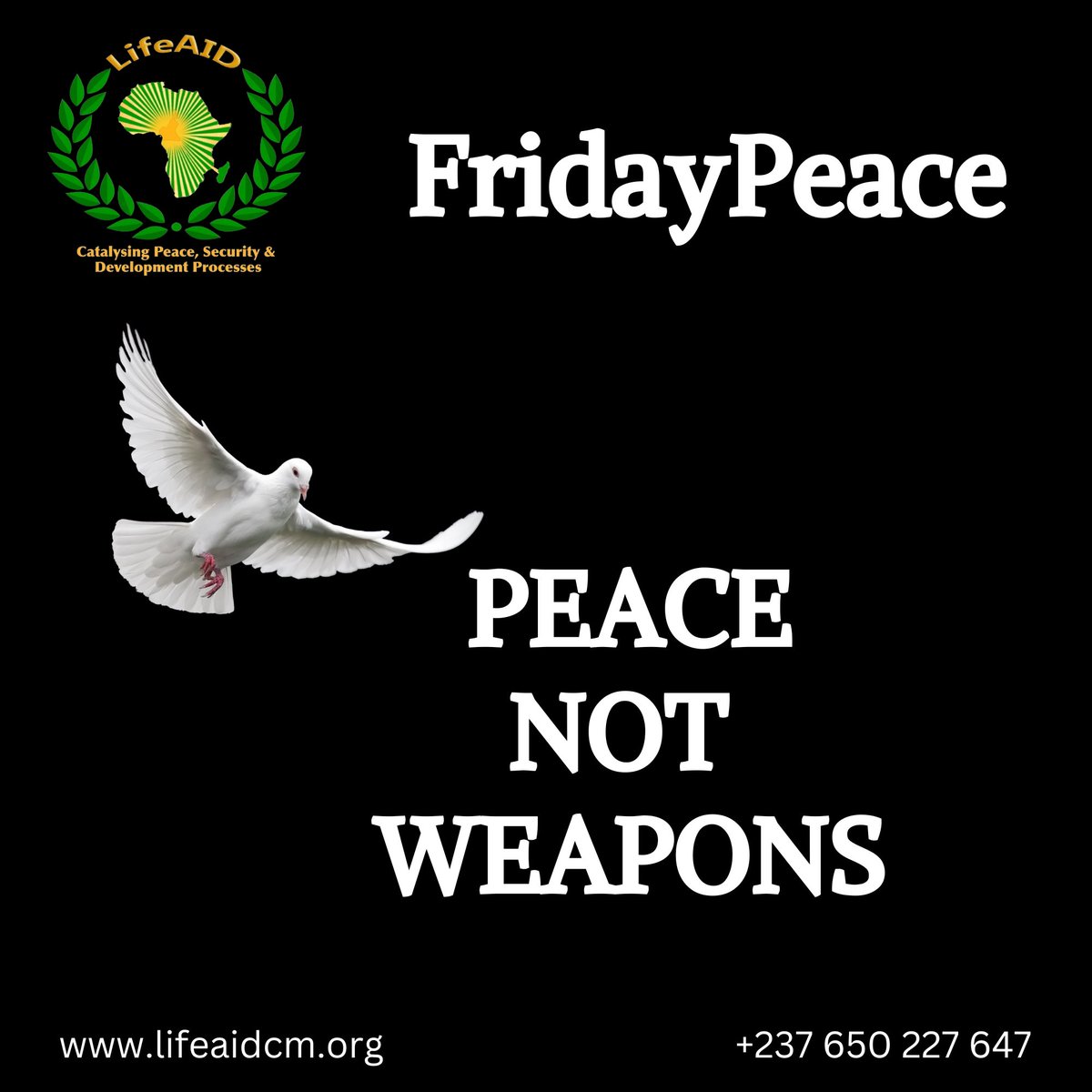 Drop your #FridayPeace statement for this weekend.
Lets be intentional about #Peace 
@UNOCA_NEWS @CEEAC_ECCAS @UNDPPA