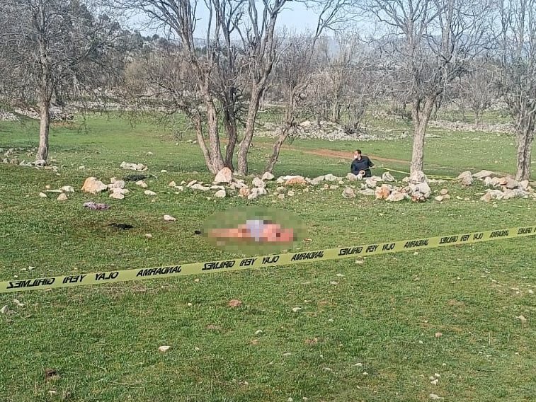 gizliservis06's tweet photo. Köpek Terörü devam ediyor..

Antalya'nın Akseki ilçesinde 3 köpeğin saldırısına uğrayan Havva Özen (85), hayatını kaybetti. https://t.co/M9Jjrnjcwm
