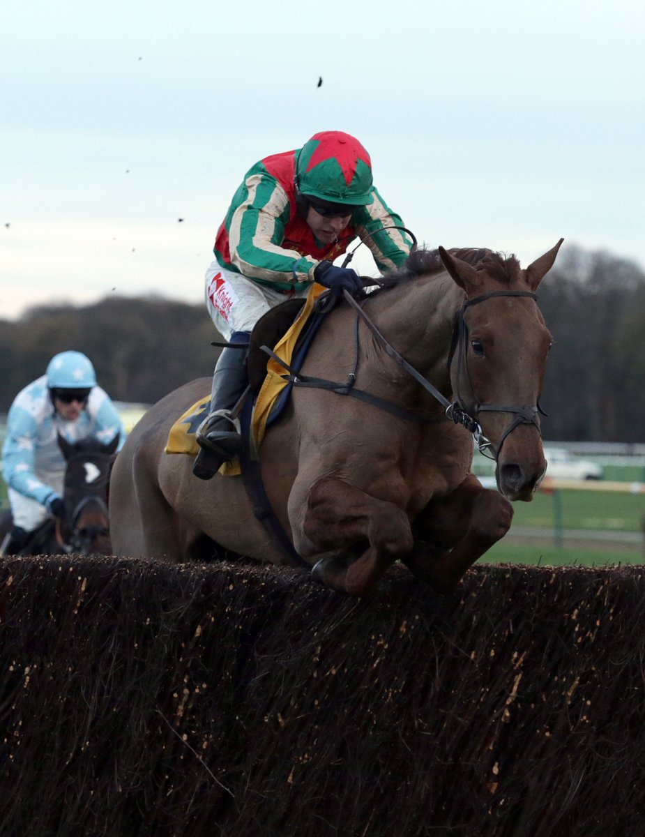 Joining us this Sunday for our Family Raceday? 🙌 Come and meet one of the all time Aintree, Grand National Steeple Chase fence specialists of all time ‘Vieux Lion Rouge’ who ran in the great race, five times and dual winner of the Becher Chase 🏆