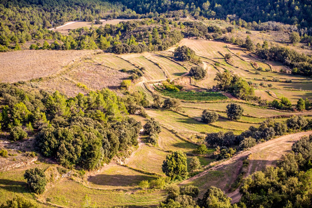 ANEU A PER L'AGENDA! #LivingLab del projecte @lifeeCOadapt50 al #CampdeTarragona 📍Seu del Consell Comarcal del Baix Camp 📅 10/04/2024 ⌚️9:45 - 11:45 S'aprovaran les accions d'adaptació al #CanviClimàtic per al 2024. 👉Per assistir: tuit.cat/vg4Uh #AccioClimatica