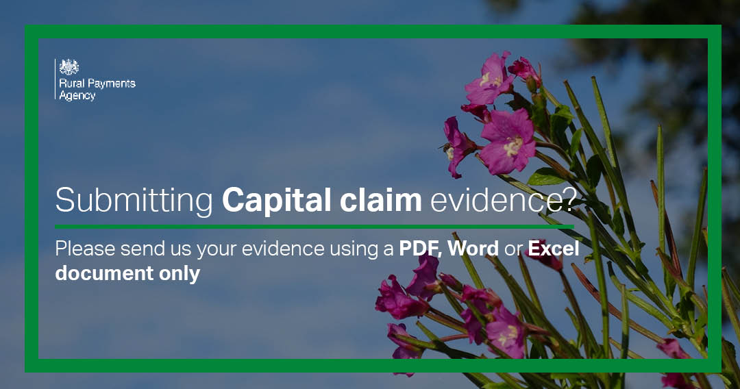 Submitting Capital claim evidence? Please send us your evidence using a PDF, Word or Excel document only. Sending evidence in other formats may delay your claim.