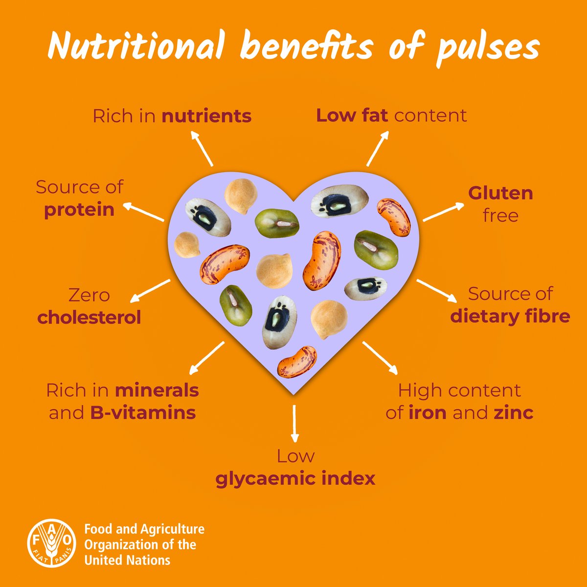Pulses are our delicious ally in achieving food security, and reducing malnutrition.

#WorldHealthDay #BetterNutrition