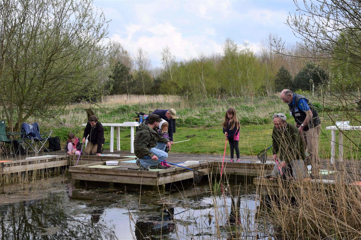 Tomorrow (6 April) we have our first Guided Pond Dipping session of 2024! We still have some places left- so if you fancy doing something different with your Saturday, you can book here: events.rspb.org.uk/events/65947