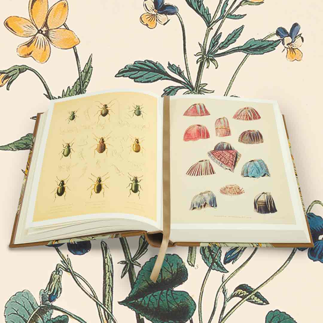 On this day in 1859, Charles Darwin sent his publisher the initial three chapters of On the Origin of Species, igniting a scientific revolution. Limited to 500 copies, this edition features a half-bound leather binding with hand-marbled paper sides. foliosociety.com/on-the-origin-…