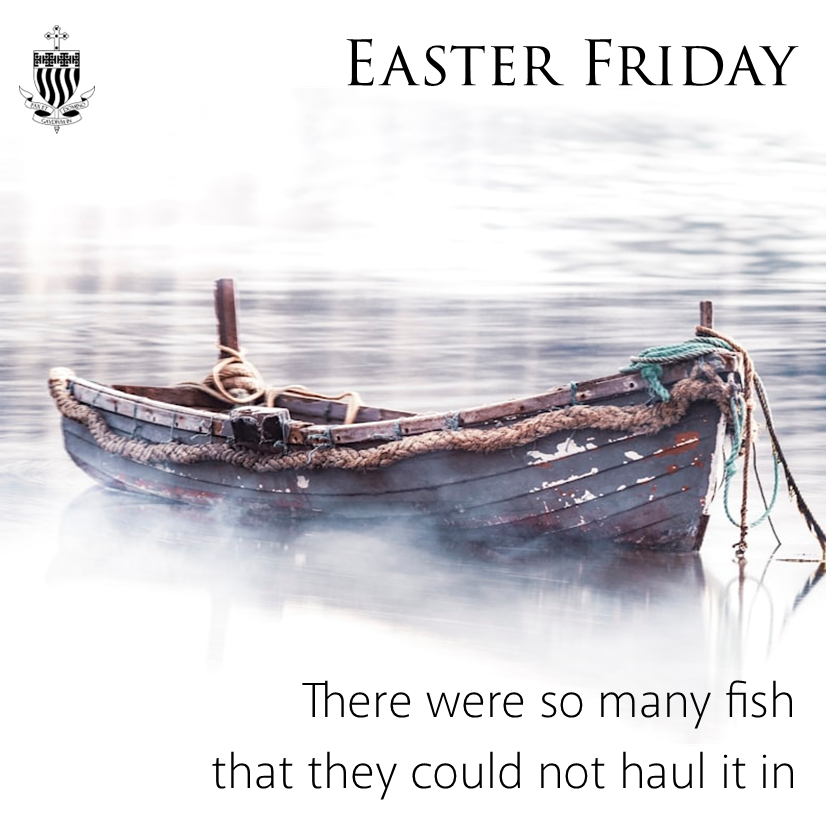 ABDiocese's tweet photo. Once again, Jesus is not immediately recognised. But His identity is revealed by His miracle. How has Jesus revealed Himself to you in your life? Take a moment to thank and praise Him for the blessings you have received. https://t.co/iQ2joDatbD