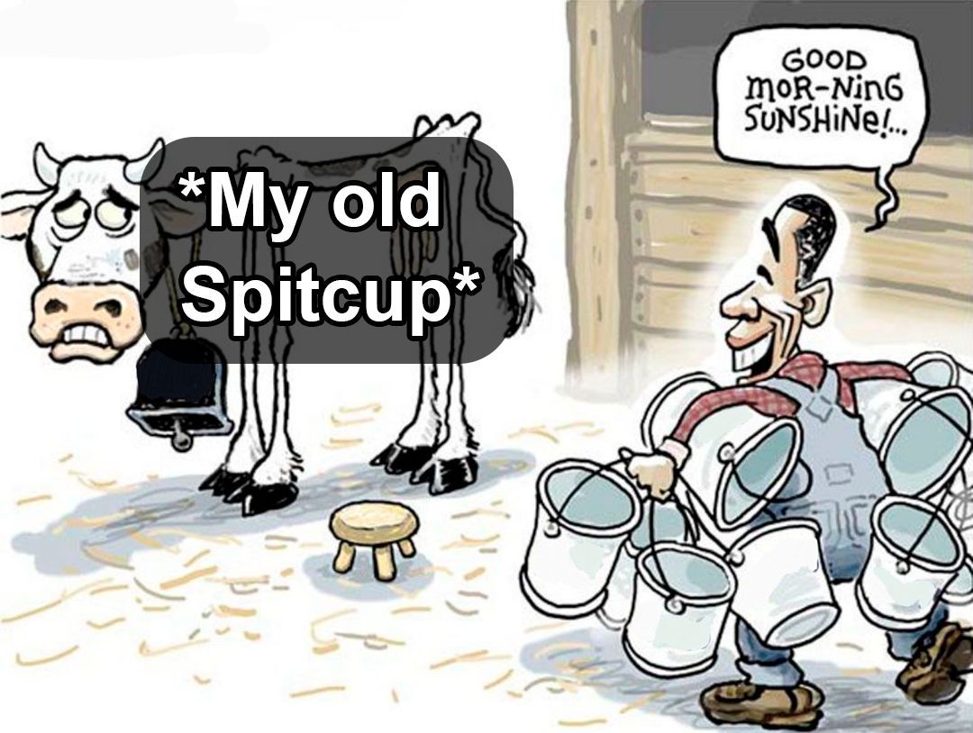 spitbud.com tweet media