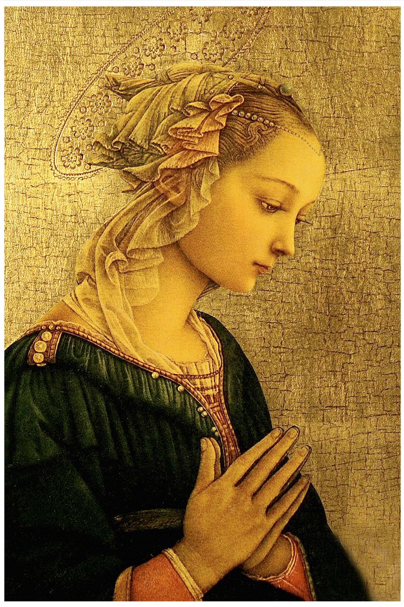 Ian 📖 tweet media