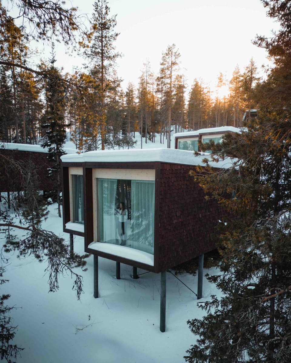 Arctic TreeHouse Hotel tweet media