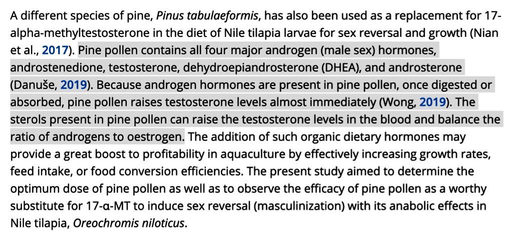 coco1337's tweet photo. Pine Pollen raises TESTOSTERONE levels almost immediately!

5 days 2x2ml /day (morning + afternoon)
2 days off cycle

Contains all 4 major androgen male sex hormones:

Testosterone, DHEA
Androsterone, Androstenedione

This is the best testosterone therapy nature has to offer. My personal experiences on pine pollen:

-Morning wood harder than 2X4 timber
-Rush of energy (perfect pre-workout)
-Mood up and stable

The secret lies in pure alcohol based handcrafted pine pollen tincture. None of those cheap sweet tasting tinctures work.

And there’s only one Pine pollen tincture on the market so far that actually works.

And you can follow the process from pinecone picking to bottling the tincture at their page.