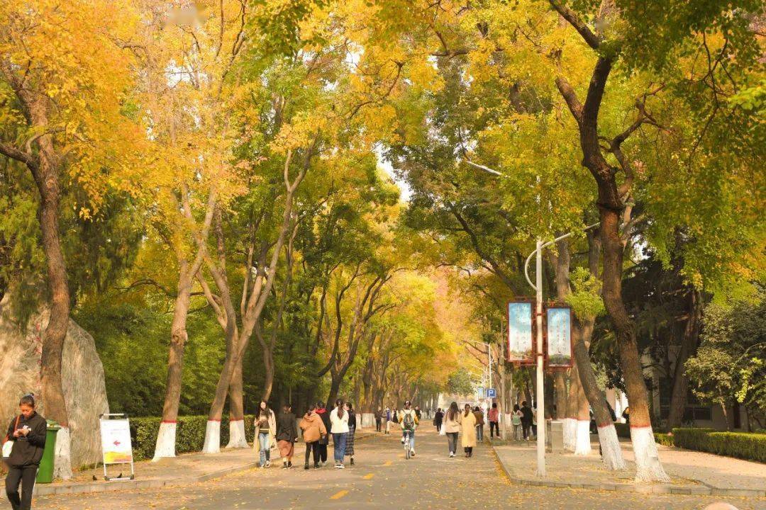 #ISACTeach Lecturer of English, Henan Normal University (Fall 24) 
Henan Normal University is located in Xinxiang City of northern Henan  Province. Founded in 1923, one of the key universities of Henan  Province and supported by the Henan provincial..  chinauniversityjobs.com/jobs/htu-engli…