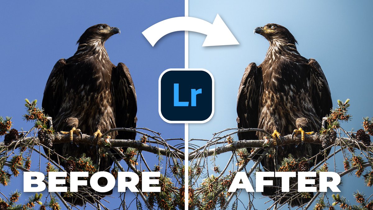 🥱 Got Boring Photos? Use These Advanced Lightroom Tricks To Level Up!🤩 Watch the Video Here → urlgeni.us/youtube/XeNNK Like 👍🏻 , Share 📨 , RT ♻️ , Secure The Cup ☕️