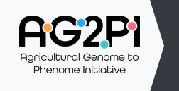 The Plant Phenome Journal tweet media