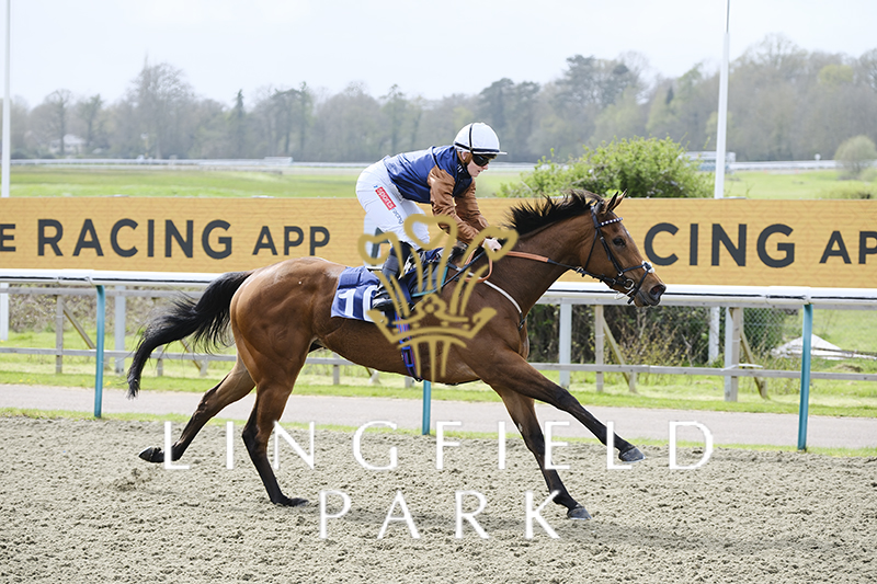 Lingfield Park tweet media