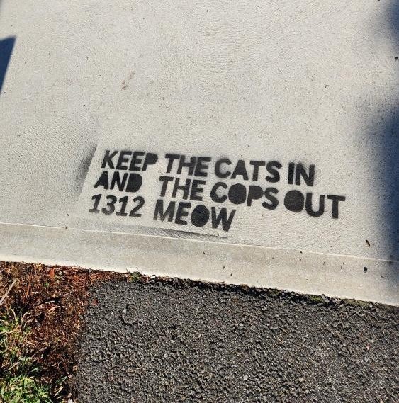 Radical Graffiti tweet media