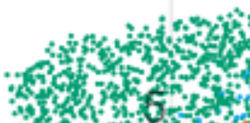 Seurat clusters are a more jumbled than the Scanpy ones (look at cluster 3 Seurat vs. 5 Scanpy). This is because Seurat uses different graphs for clustering & UMAP, whereas Scanpy uses the same.Based on this I've learned to tell whether a UMAP was made by Seurat or Scanpy 🙃. 6/