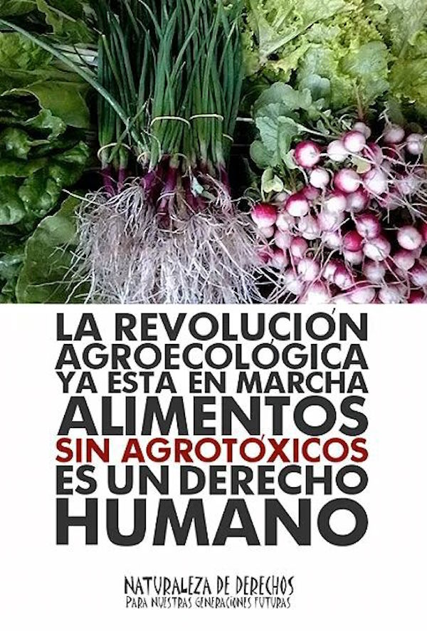 Alimentos sin agrotóxicos es un derecho humano.