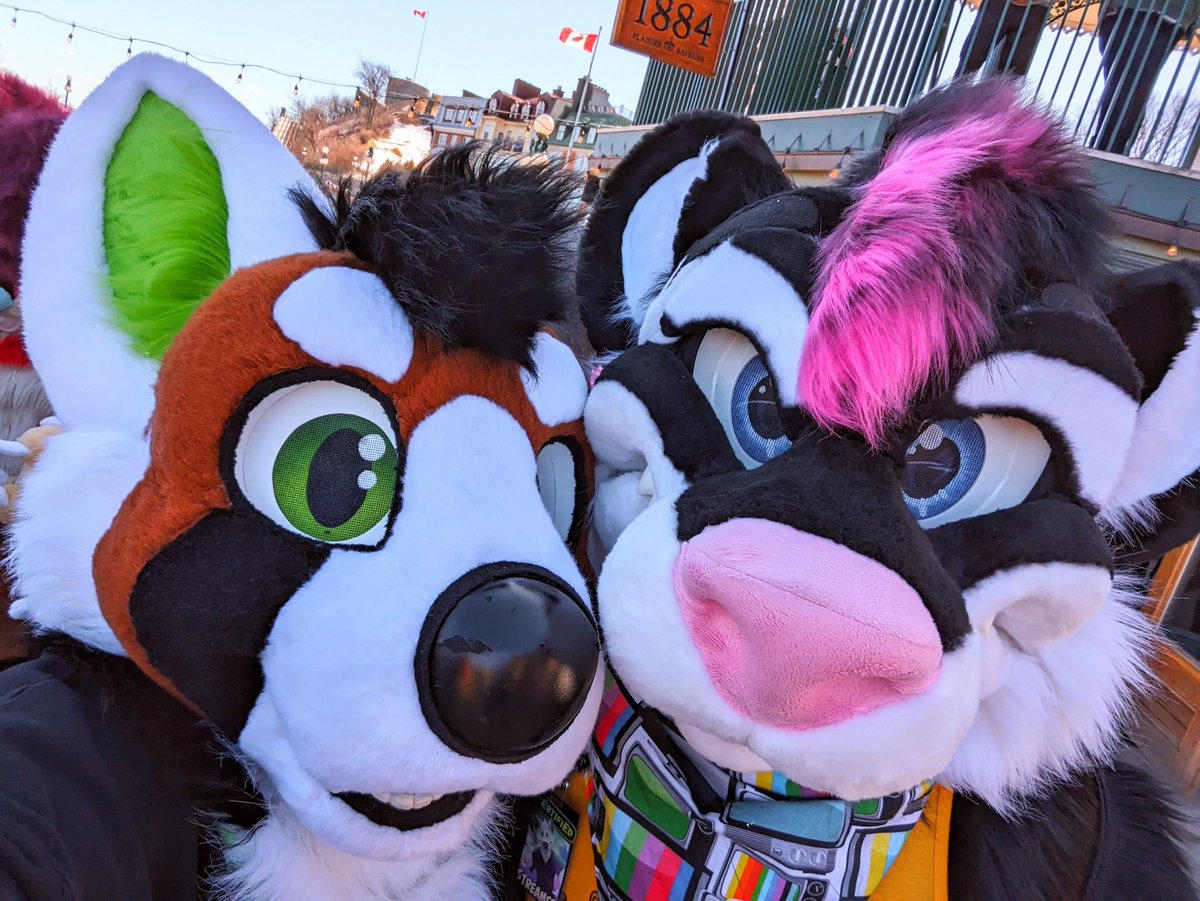 NUKE_PANDACORGI's tweet photo. HAD A BLAST AT LAST WEEK'S EASTER FURMEET! w/ @Phoebe_Vakarian 💚💚💚 https://t.co/emDFfpjdSH