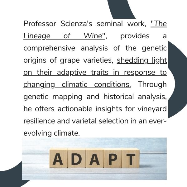 Professor Attilio Scienza unveils the future of wine, tackling #climatechange and enological #challenges. Discover his insights and the importance of #scientificresearch in the world of wine. 🍇 Find the complete article on Wine Meridian 👉 loom.ly/ce4aNLU