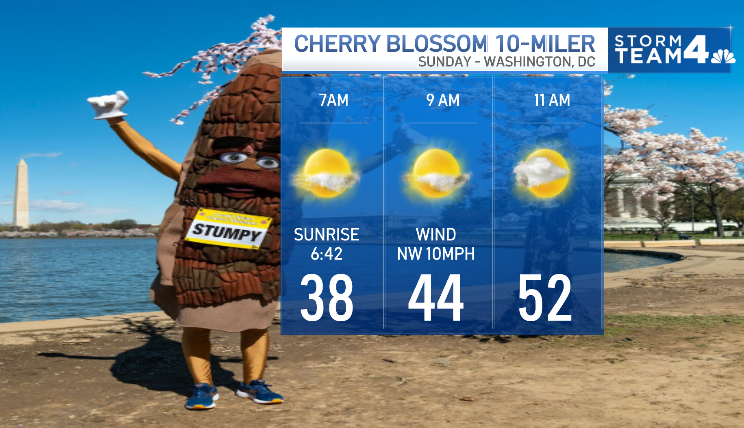 The @CUCB Cherry Blossom 10-Miler is just 48 hours away and the forecast remains... CHILLY! Starting temperatures near 40° but at least there will be plenty of sunshine and not too much of a wind-chill. I'll be running with @TommyMcFLY and @NewsJValencia so keep a lookout.