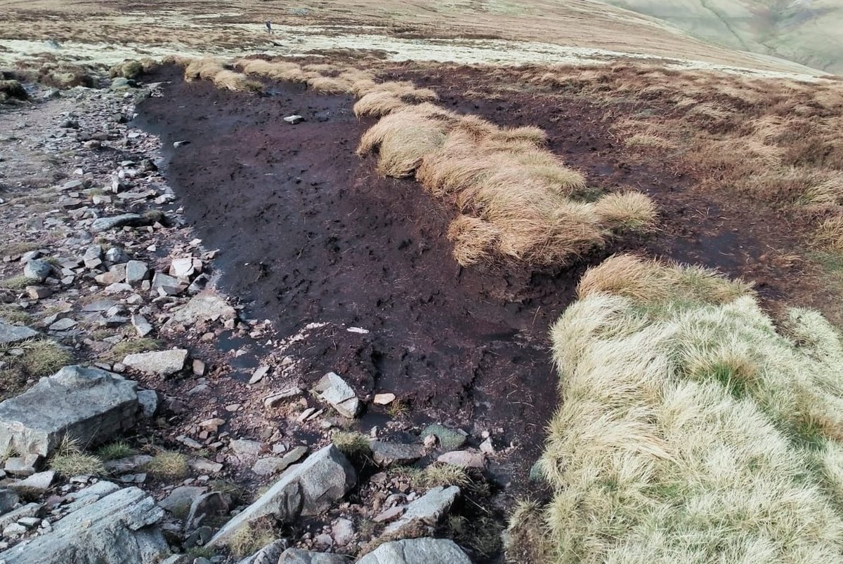 Spot the difference! Functioning #peatlands in #uplands act as sponges, affecting how quickly run off from the #fells enters #rivers. This reduces the affects of #flooding and #drought, keeping water levels more stable for our special species 💚#ReviveRevitaliseRestore #Cumbria
