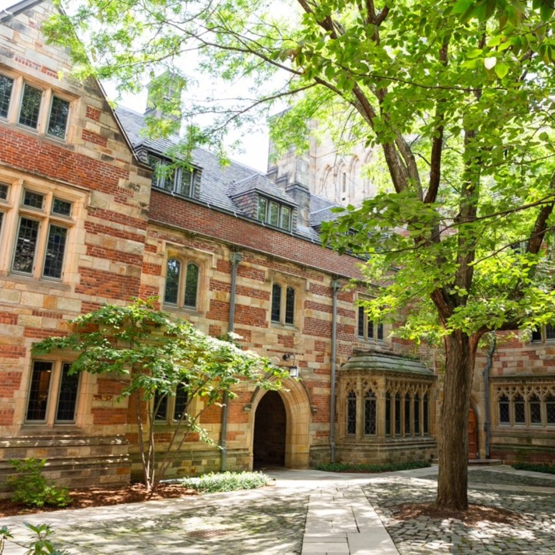 ISSOSInt's tweet photo. ISSOS Locations 🌎Located in the heart of St Andrews, Cambridge, & Yale, our summer schools offer a 3 week adventure in these historic university towns. Students receive the full ISSOS experience no matter where they choose to study. Learn more: https://t.co/7qSt3w5RQH
#issos https://t.co/oye4Jn6lNY