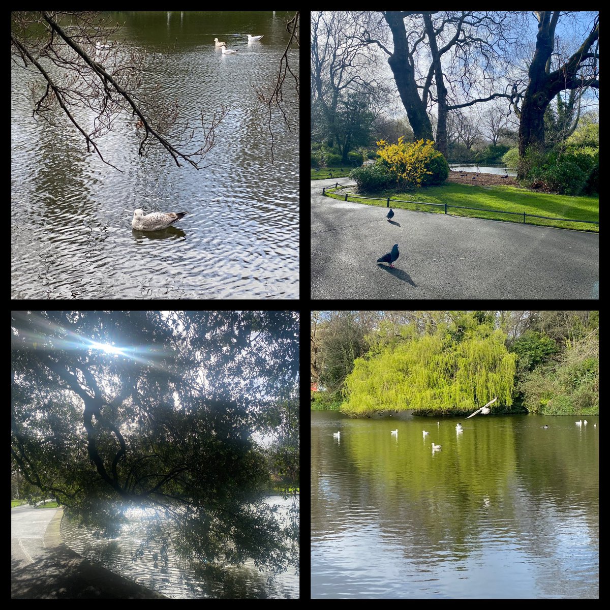 An early start and all is calm … and deserted! 

Awaiting #StormKathleen 

Day 96 #100daysofwalking