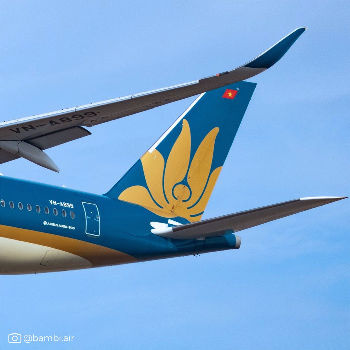 Tales from the Tail! Did you know the tail of Vietnam Airlines' airplanes feature a golden lotus, which is Vietnam's national flower. The lotus symbolizes purity, commitment and optimism for the future, reflecting the airline's brand and cultural heritage. #SkyTeam #Aviation