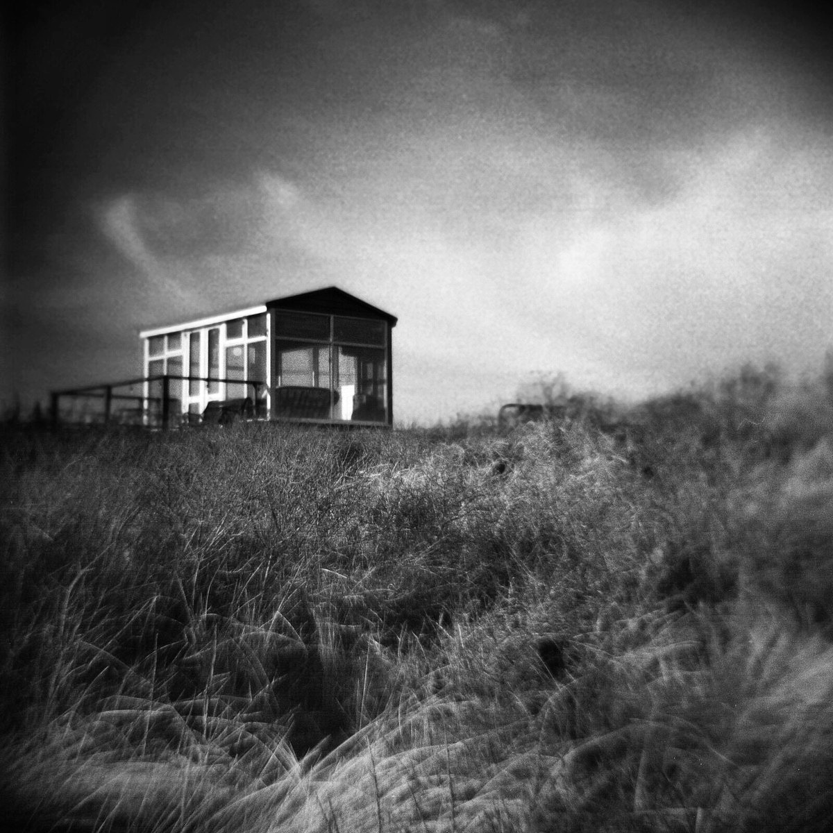 Cool Viewpoint Diana F+ #filmphotography #believeinfilm #kentmere400