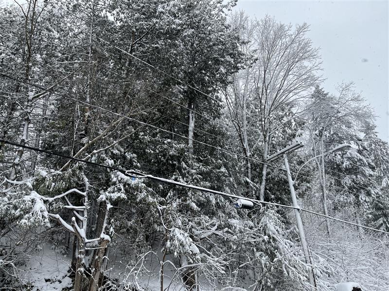 There are currently 49,000 customers without power, due to the weather event that began on Wednesday evening. The regions most affected are Laurentides, Outaouais, Montérégie, Laval, Lanaudière, Estrie and Montreal.

We expect to be able to restore service to the vast majority of