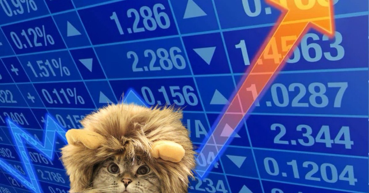 Who’s that in the right corner below? Prolly nothing👀

$LC Lion Cat Nala 

t.me/lioncatportal

dexscreener.com/solana/HAA8cxf…

@The__Solstice @EzMoneyGems @jamiekingston @OfficialTravlad @CryptoMatt87 @crypto_bitlord7 @Cryptic_Maestro @DoxxedChannel @cryptoskullx @bull_bnb…