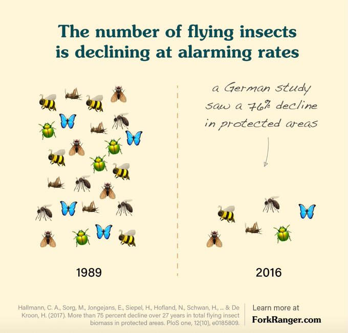 The insect world is disappearing fast and still we are doing nothing to stop it