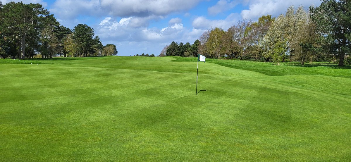 Aaron Bowen tweet media