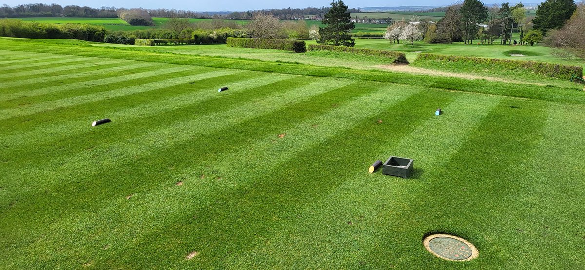 Aaron Bowen tweet media