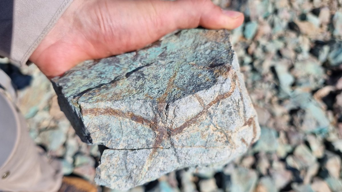 ANS Exploration tweet media