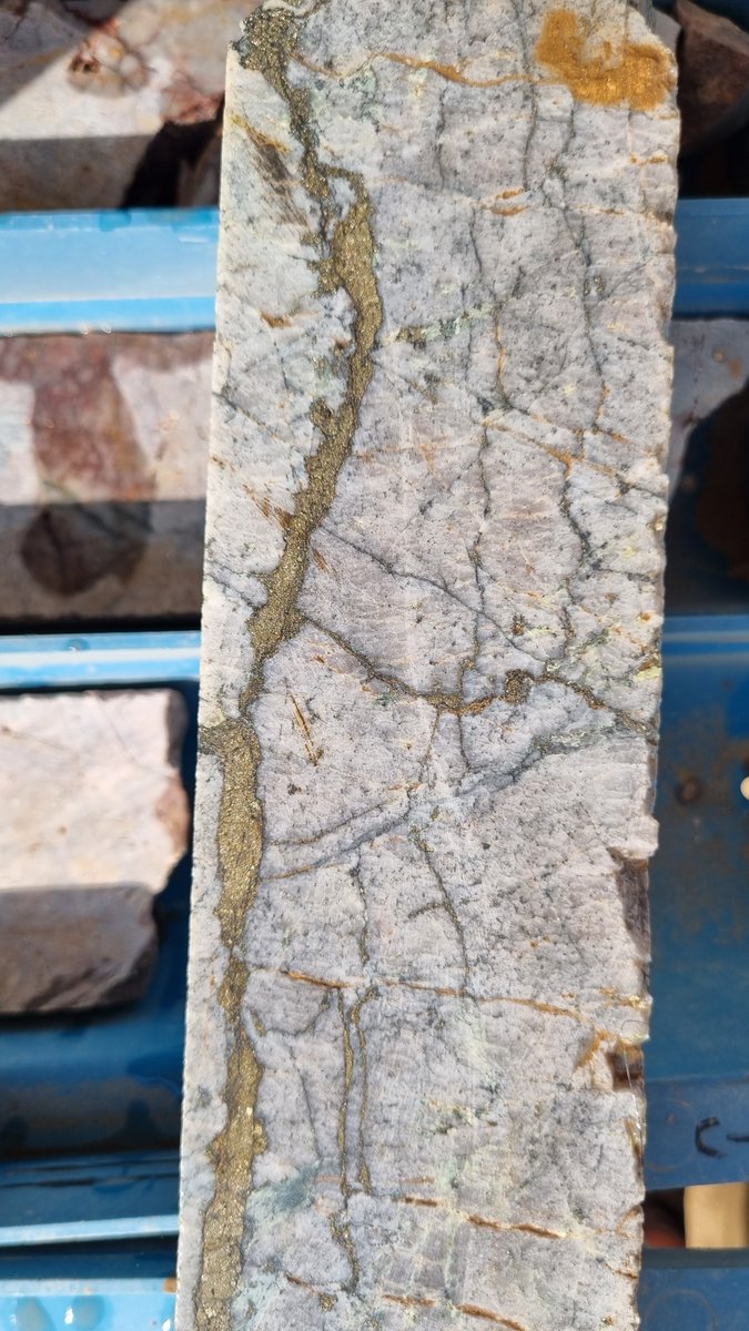 ANS Exploration tweet media