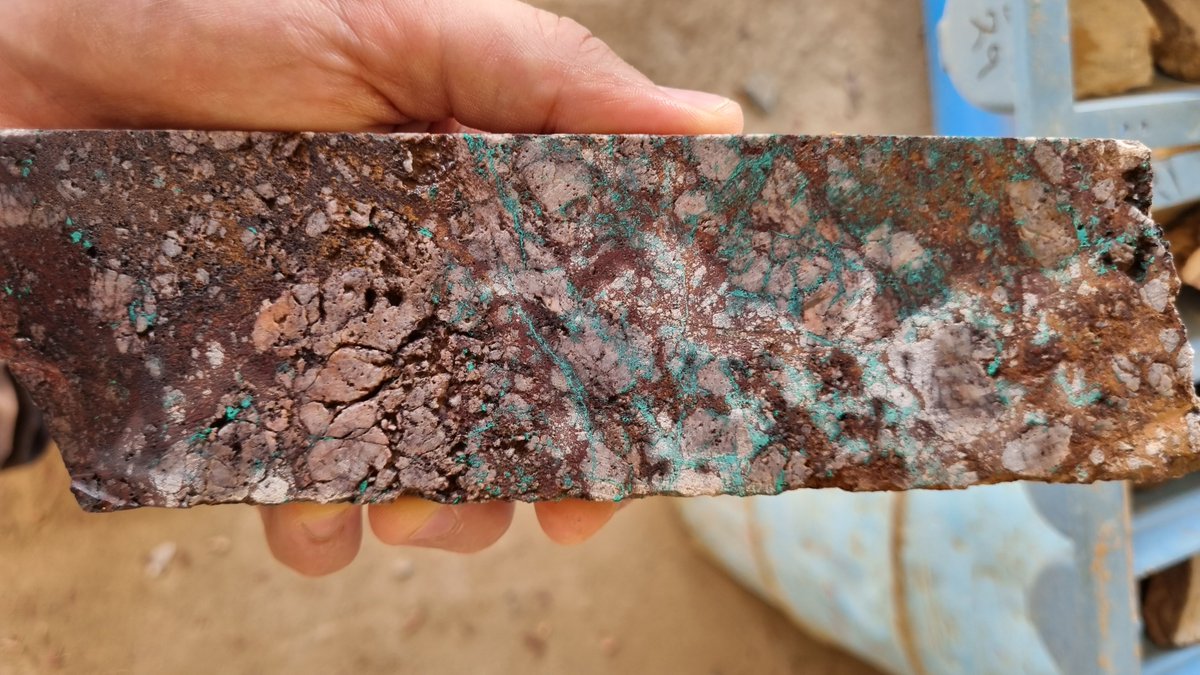 ANS Exploration tweet media