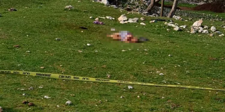 Antalya'nın Akseki ilçesinde evinin önünde 3 çoban köpeğinin saldırısına uğrayan 85 yaşındaki kadın yaşamını yitirdi. Jandarma, köpeklerin sahibinin belirlenmesi için çalışma başlattı.
