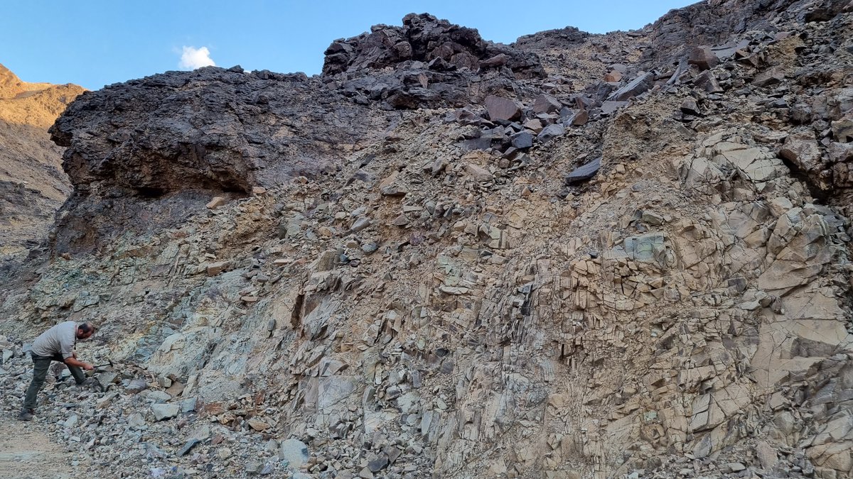 ANS Exploration tweet media