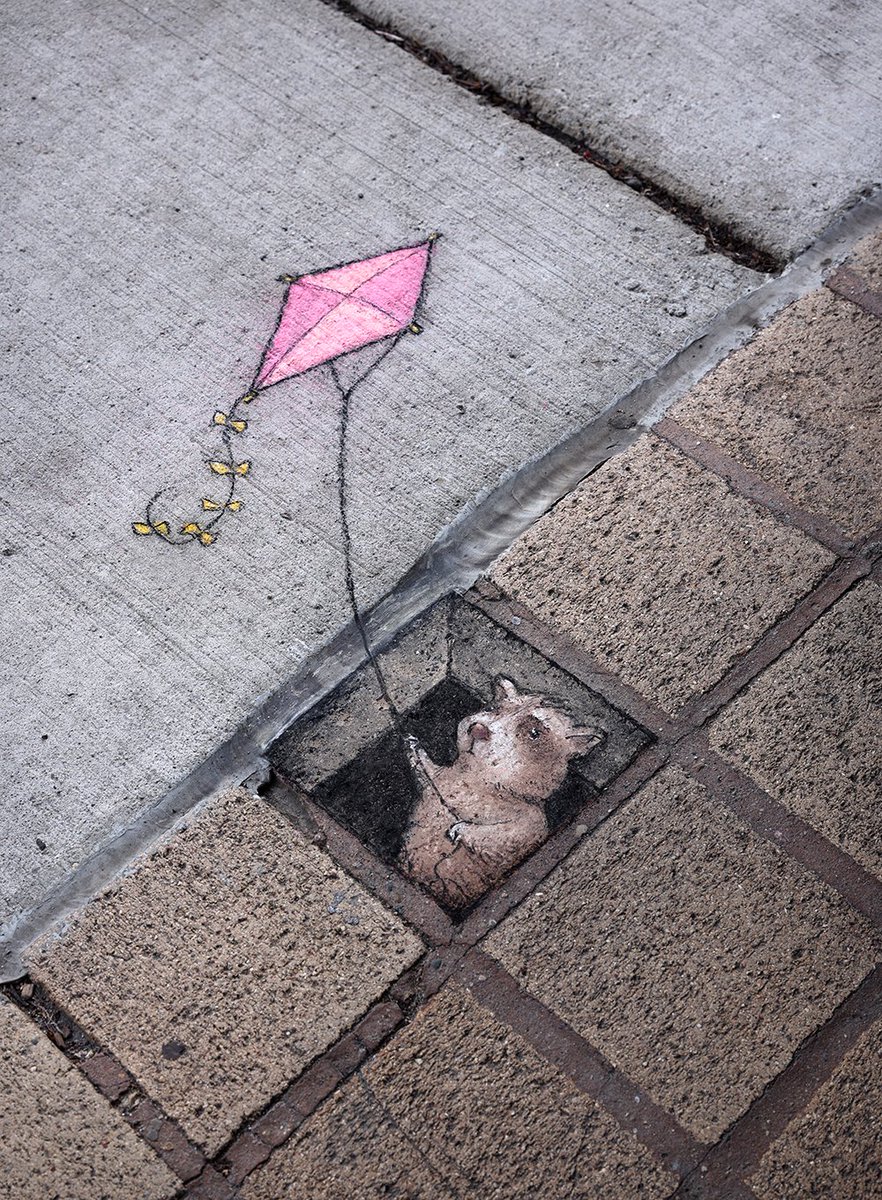 Larry prefers his outdoor activities as indoors as he can make them. #StreetArt #SidewalkChalk #kiteflying #raccoon #introvert #fun