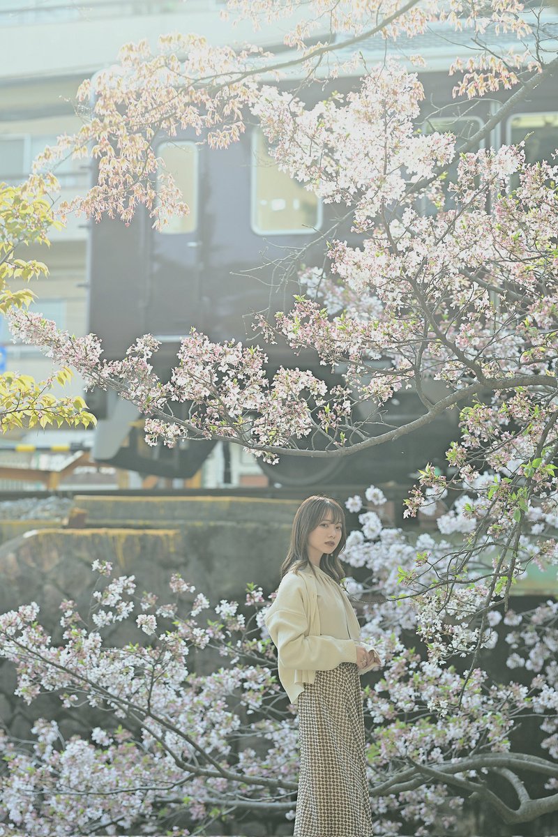 ちょうど１年前の夙川🌸 model　ヨンちゃん。 @yonchan_co もう葉桜なりかけてました。 #苦楽園口
