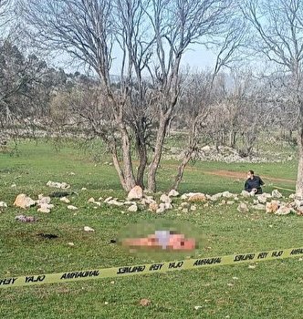 Antalya'da evinin önünde 3 başıboş köpeğin saldırısına uğrayan 85 yaşındaki yaşlı kadın parçalanmış halde ölü bulundu.