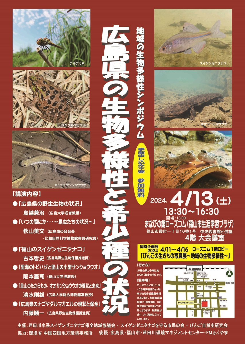 ＼いきものに関心がある方オススメ🐟／ オオサンショウウオ❗️ スイゲンゼニタナゴ‼️ 県内に生息する 希少野生生物の状況に関する シンポジウムが開催されます。 ✅4/13（土）13:30～16:30 ✅福山市　まなびの館ローズコムにて ✅申込不要・参加費無料 pref.hiroshima.lg.jp/site/tayousei/… #ひろしま環境の日