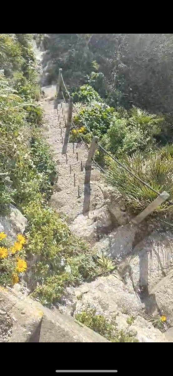 Our Nature Reserve Team has been busy this week carrying out much needed maintenance works at Mediterranean Steps following the recent storm. It’s a great time of the year to visit! #Spring