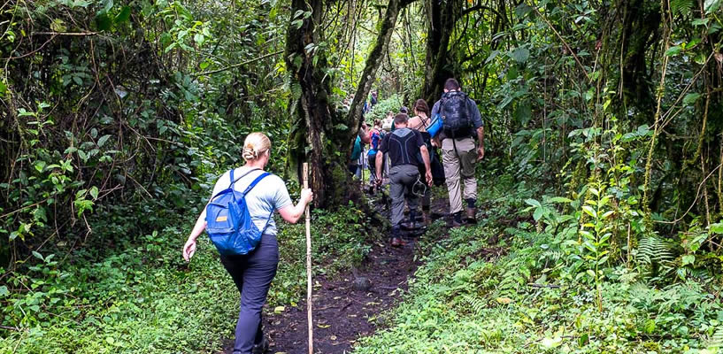 The Queen Elizabeth National Park nature walks help you to observe with keen mindfulness the nature of Uganda. Explore now shorturl.at/CKMQ6 queenelizabethnationalparkuganda.com #queenelizabethnationalpark #queenelizabethnationalparksafaris #queenelizabethpark #queenelizabethparkuganda