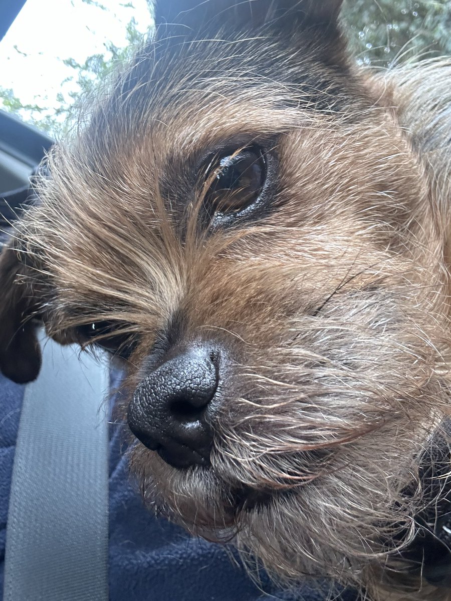 Russell Macmorland tweet media