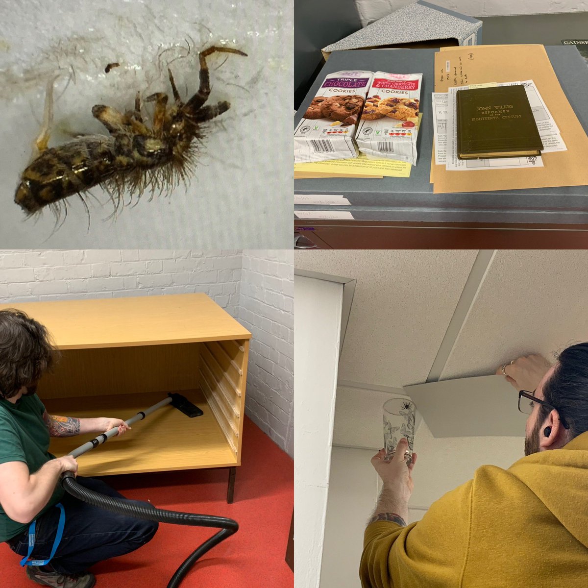 #Archive30 today is a #TypicalDay

Well, there isn’t one. This morning was Bug-Hunting, though we also save them too. 
Or retrievals - including biscuits for the Volunteers. 
Or cleaning our storage.
Or cataloguing.
Or preparing outreach
Or packaging.
Or writing a talk.
Or…