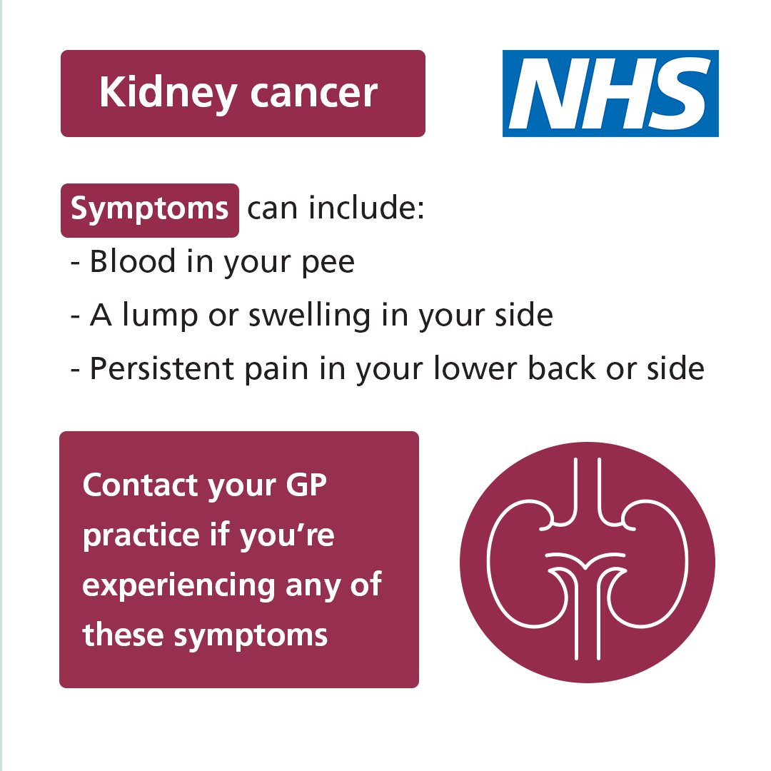 Raising awareness for #KidneyCancer The common signs/symptoms include: 🩸Blood in your pee ⚡️Lower back pain 🌡️Persistent fever 🦵Leg swelling 🧑‍⚕️Whilst these don't mean you definitely have #cancer, if they've lasted over three weeks, tell your doctor. #CancerAwareness