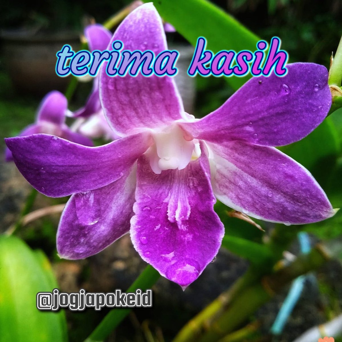 jogjapokeid (@jogjapokeid) on Twitter photo #F4F_Nusantara
#Sami86Genkz
terima kasih
โฉโฝmas <a href="/sami86pilang/">๐ฎ๐ฉ๐ฏ๐๐๐๐๐๐ซ'๐ฌ๐ฏ๐ฎ๐ฉ</a>
<a href="/albert_morafia/">ABM</a>
<a href="/BM7NOGO/">Pak BM ( Lottung Marsada๐ฎ๐ฉ</a>
<a href="/DennyDSP77/">๐๐๐๐๐๐๐ ๐๐๐๐๐๐๐๐๐ ๏ฃฟ โฏ</a>
<a href="/bidge249/">Rini NrB ๐ฎ๐ฉ</a>
<a href="/RPrima789/">๐โฉเฟ ๐
ฑ๏ธ๐
ฟ๏ธriโ๏ธa777 ๐ฒ๐จ</a>
<a href="/jogjapokeid/">jogjapokeid</a>
<a href="/FitriKhasan/">Fitri Khasanah</a>
<a href="/fmulupi/">Felicia Ulp</a>
<a href="/ForestFutu1/">No Forest No Future</a>
<a href="/foururd/">Phi Jhat</a>
<a href="/G0ku197424/">Goku</a>
<a href="/g1rsang/">Gwgirsang</a>
<a href="/GaharuBambang/">ABM</a>
<a href="/gdb_st/">Bidhog_St ๐ฎ๐ฉ</a>
<a href="/Gedibal7Likur/">Gedibal27</a>
<a href="/gelangbesi/">gelangbesi</a>
<a href="/Gendon2111/">Getuk</a> #F4F_Nusantara
#Sami86Genkz
terima kasih
โฉโฝmas <a href="/sami86pilang/">๐ฎ๐ฉ๐ฏ๐๐๐๐๐๐ซ'๐ฌ๐ฏ๐ฎ๐ฉ</a>
<a href="/albert_morafia/">ABM</a>
<a href="/BM7NOGO/">Pak BM ( Lottung Marsada๐ฎ๐ฉ</a>
<a href="/DennyDSP77/">๐๐๐๐๐๐๐ ๐๐๐๐๐๐๐๐๐ ๏ฃฟ โฏ</a>
<a href="/bidge249/">Rini NrB ๐ฎ๐ฉ</a>
<a href="/RPrima789/">๐โฉเฟ ๐
ฑ๏ธ๐
ฟ๏ธriโ๏ธa777 ๐ฒ๐จ</a>
<a href="/jogjapokeid/">jogjapokeid</a>
<a href="/FitriKhasan/">Fitri Khasanah</a>
<a href="/fmulupi/">Felicia Ulp</a>
<a href="/ForestFutu1/">No Forest No Future</a>
<a href="/foururd/">Phi Jhat</a>
<a href="/G0ku197424/">Goku</a>
<a href="/g1rsang/">Gwgirsang</a>
<a href="/GaharuBambang/">ABM</a>
<a href="/gdb_st/">Bidhog_St ๐ฎ๐ฉ</a>
<a href="/Gedibal7Likur/">Gedibal27</a>
<a href="/gelangbesi/">gelangbesi</a>
<a href="/Gendon2111/">Getuk</a>
