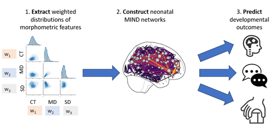 If you'd like to join us, we're recruiting a #PhD student to start Oct 24. The successful student will work on extending MIND- our new method to construct structural brain networks from #MRI (Sebenius et al., Nature Neuroscience 2023)- to study perinatal development (2/3)