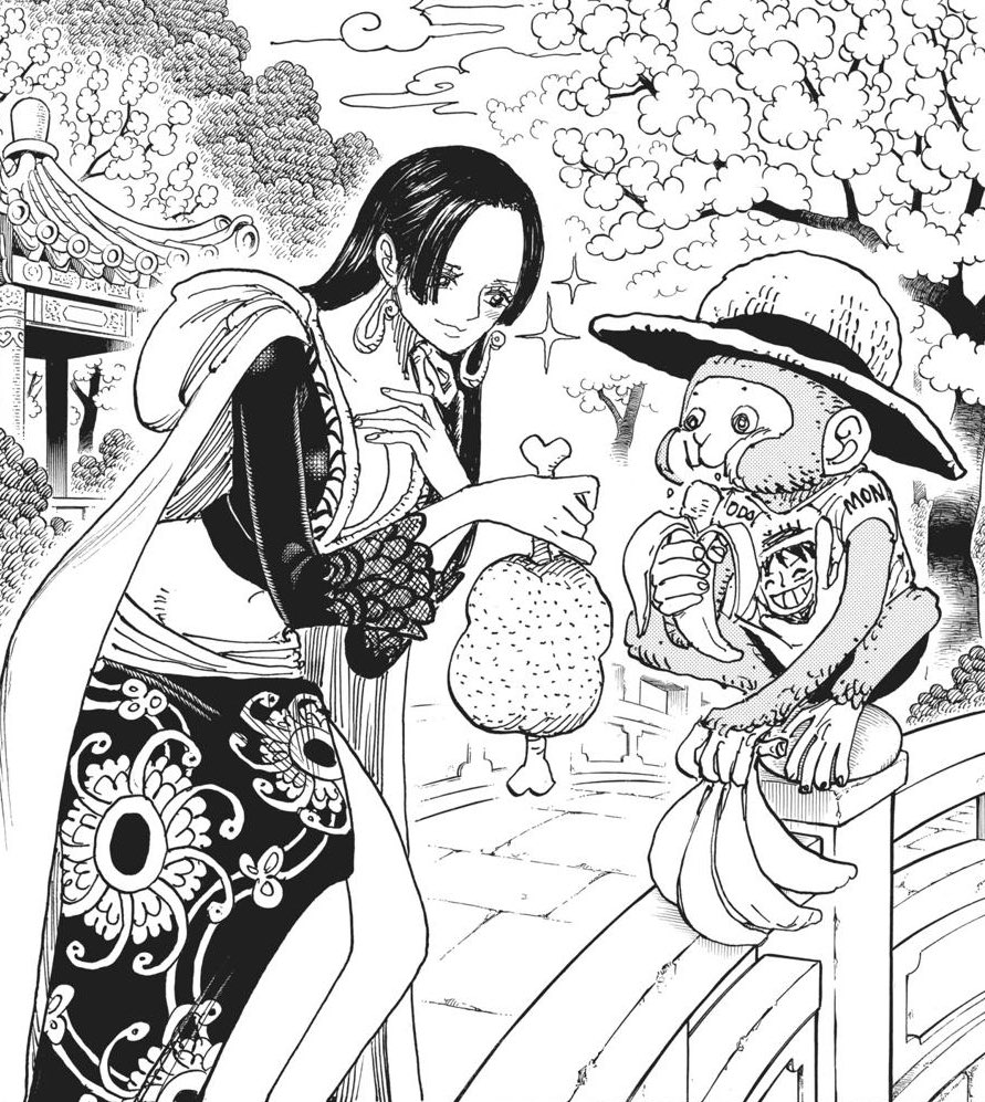 One Piece (@onepiecepanel) on Twitter photo 